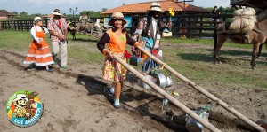 Parque Los Arrieros